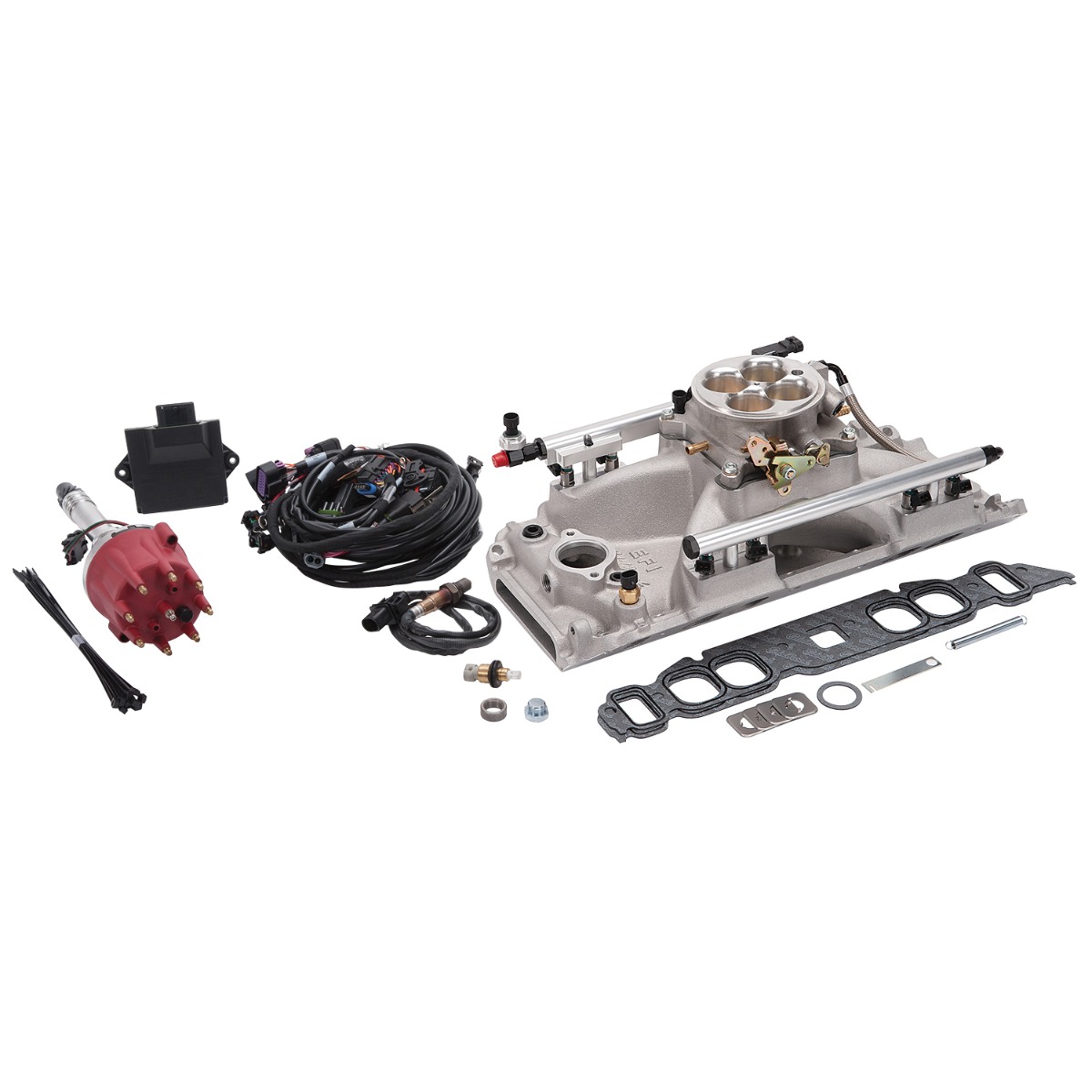 (image for) Pro-Flo 4 EFI System for Big-Block Chevy Oval Port Engines
